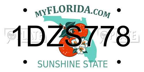 1DZS778 Florida License Plate