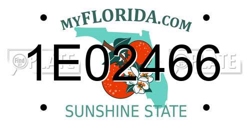 1E02466 Florida License Plate