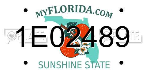 1E02489 Florida License Plate