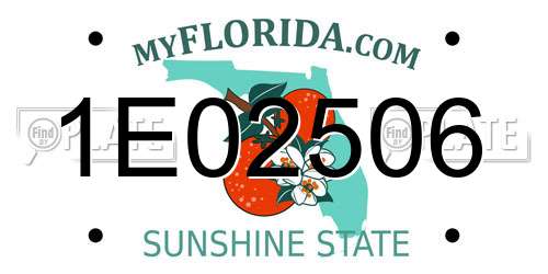 1E02506 Florida License Plate