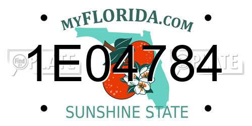1E04784 Florida License Plate