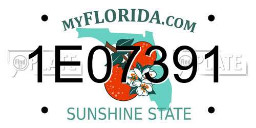 1E07391 Florida License Plate