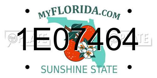 1E07464 Florida License Plate