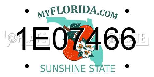 1E07466 Florida License Plate