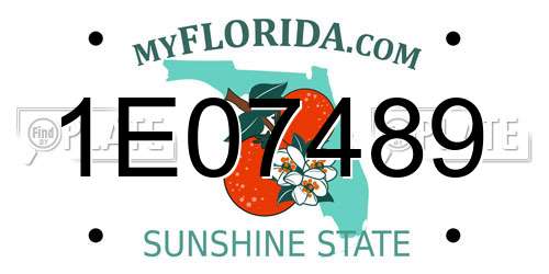 1E07489 Florida License Plate