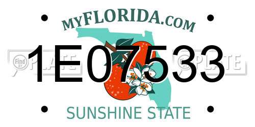 1E07533 Florida License Plate