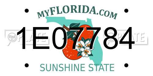 1E07784 Florida License Plate