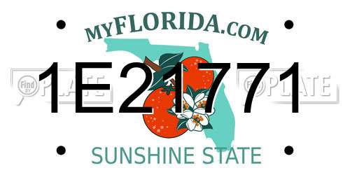 1E21771 Florida License Plate