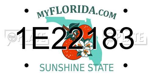 1E22183 Florida License Plate