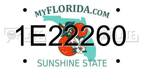 1E22260 Florida License Plate