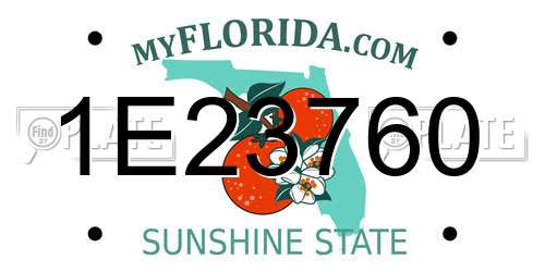 1E23760 Florida License Plate