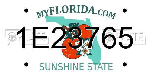 1E23765 Florida License Plate