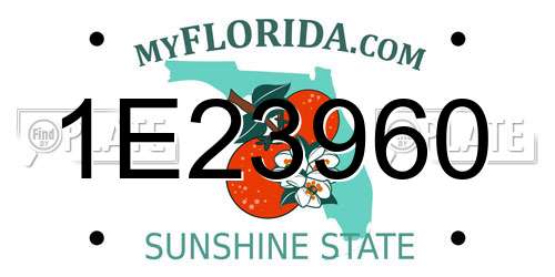 1E23960 Florida License Plate