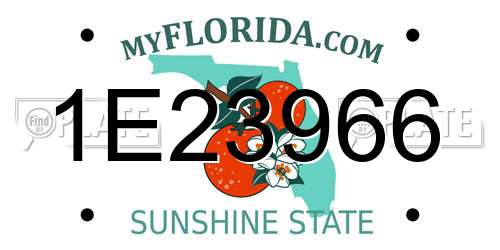 1E23966 Florida License Plate