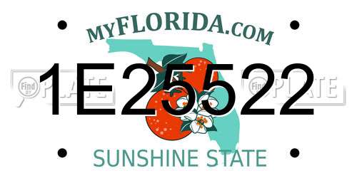 1E25522 Florida License Plate