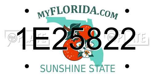 1E25822 Florida License Plate