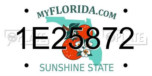1E25872 Florida License Plate