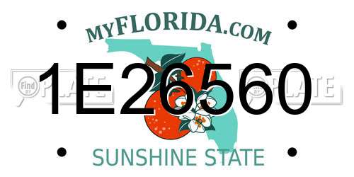 1E26560 Florida License Plate