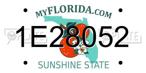 1E28052 Florida License Plate