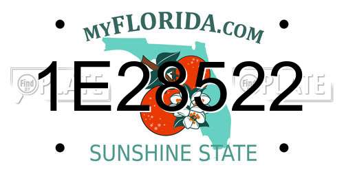 1E28522 Florida License Plate
