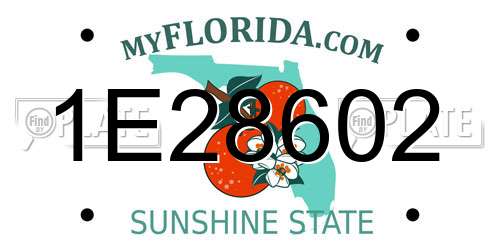 1E28602 Florida License Plate