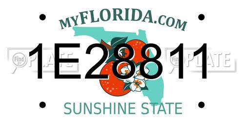 1E28811 Florida License Plate