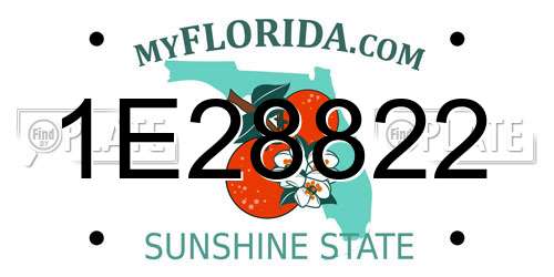 1E28822 Florida License Plate