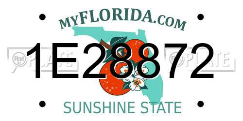 1E28872 Florida License Plate