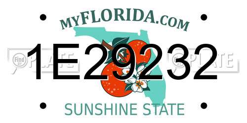 1E29232 Florida License Plate