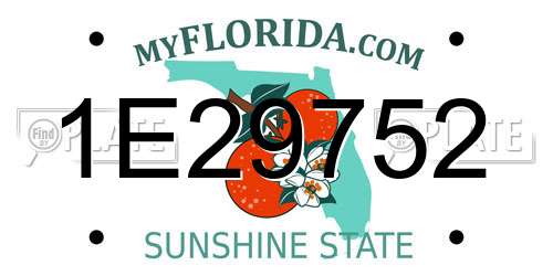 1E29752 Florida License Plate