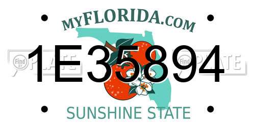 1E35894 Florida License Plate