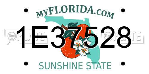 1E37528 Florida License Plate