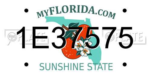 1E37575 Florida License Plate