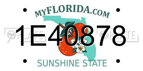 1E40878 Florida License Plate