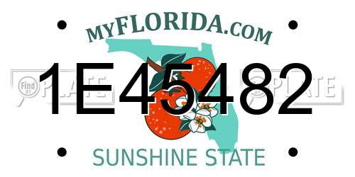 1E45482 Florida License Plate