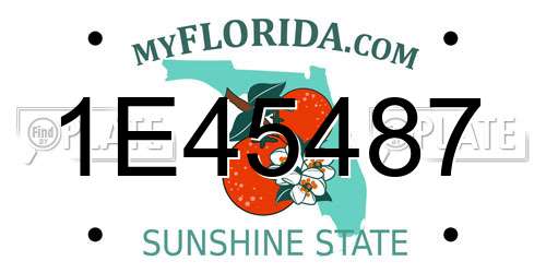 1E45487 Florida License Plate