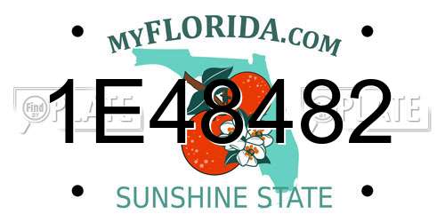 1E48482 Florida License Plate