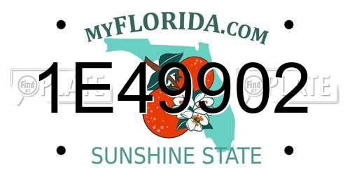 1E49902 Florida License Plate