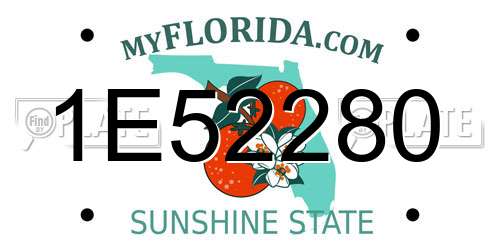 1E52280 Florida License Plate