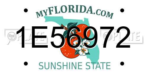 1E56972 Florida License Plate
