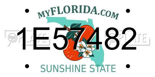 1E57482 Florida License Plate
