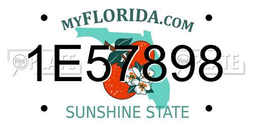 1E57898 Florida License Plate