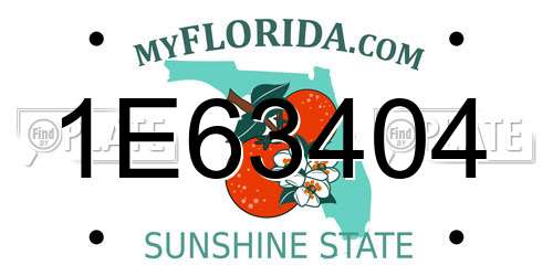 1E63404 Florida License Plate