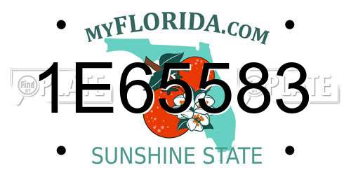 1E65583 Florida License Plate