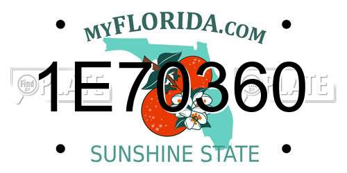 1E70360 Florida License Plate