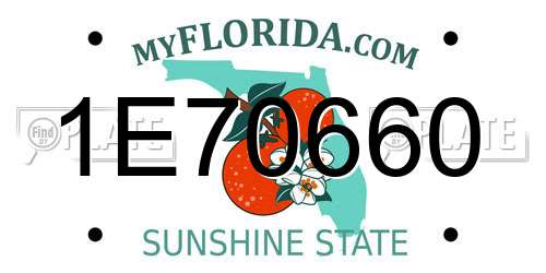 1E70660 Florida License Plate