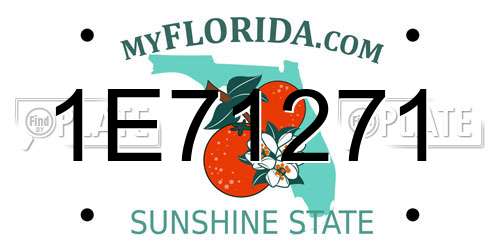 1E71271 Florida License Plate