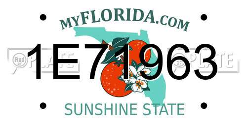 1E71963 Florida License Plate