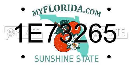 1E73265 Florida License Plate