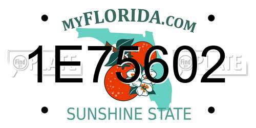 1E75602 Florida License Plate
